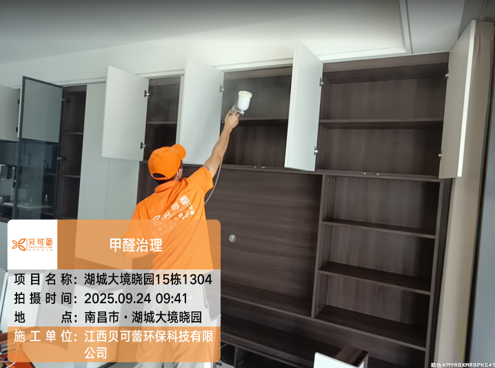 湖城大境晓园甲醛治理