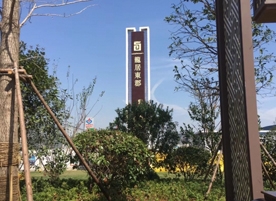 龙居东郡楼盘样板房甲醛治理