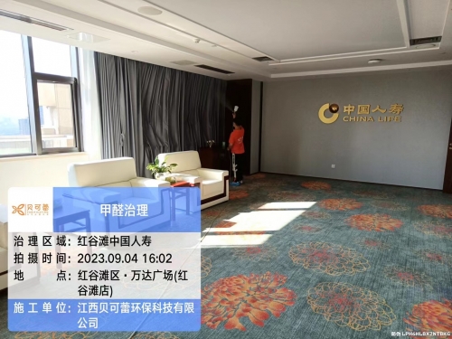中国人寿甲醛治理