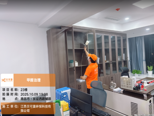 长征西路辅路甲醛治理