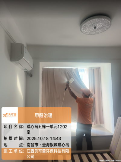 壹海银城璞心岛甲醛治理