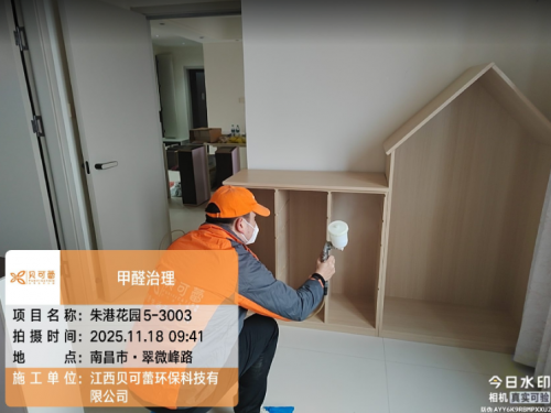 朱港花园小区甲醛治理