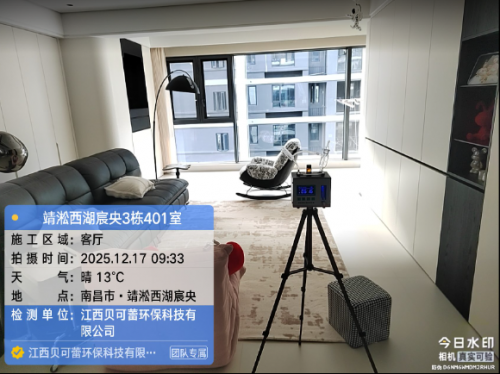 靖淞西湖宸央小区甲醛检测