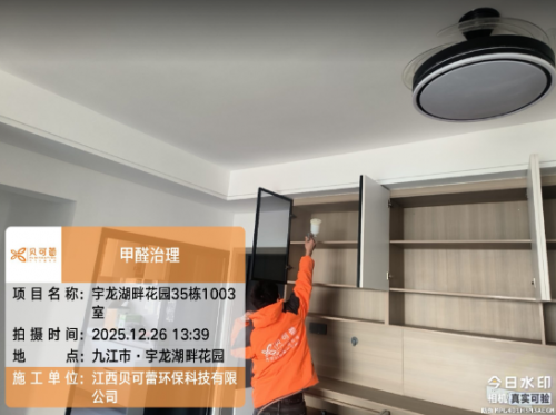 宇龙湖畔花园小区甲醛治理