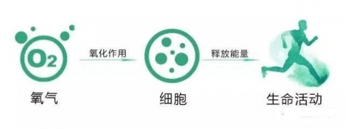 什么是负氧离子?它对人体有什么作用?