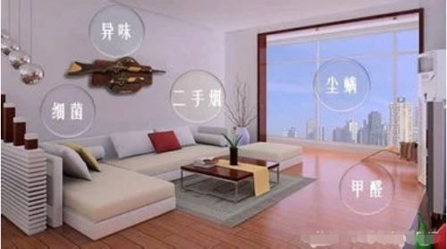 室内空气净化高效方法
