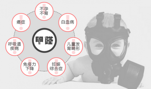 绿植真的能除甲醛？