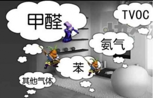 宠物也会因甲醛生病？这样做可减少甲醛对宠物造成的伤害