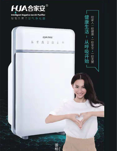 合家安A04