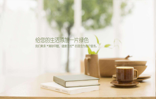 甲醛治理