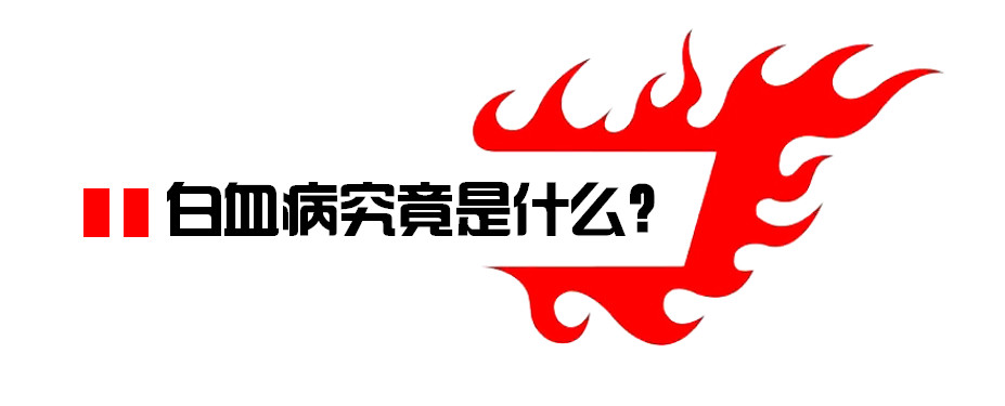 微信图片_20190715162808.jpg