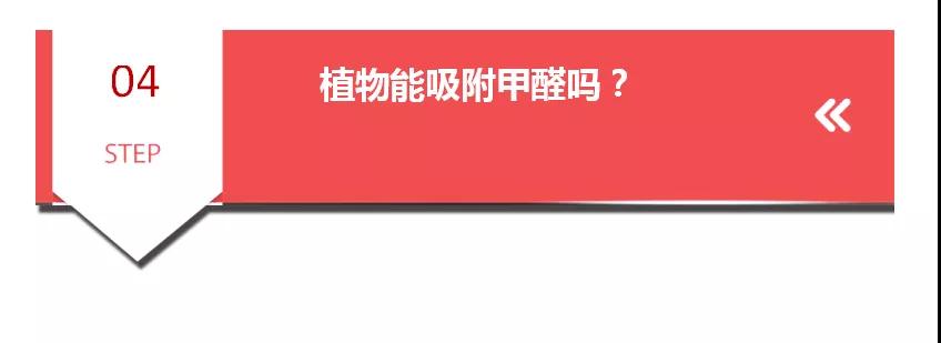 微信图片_20190715163431.jpg