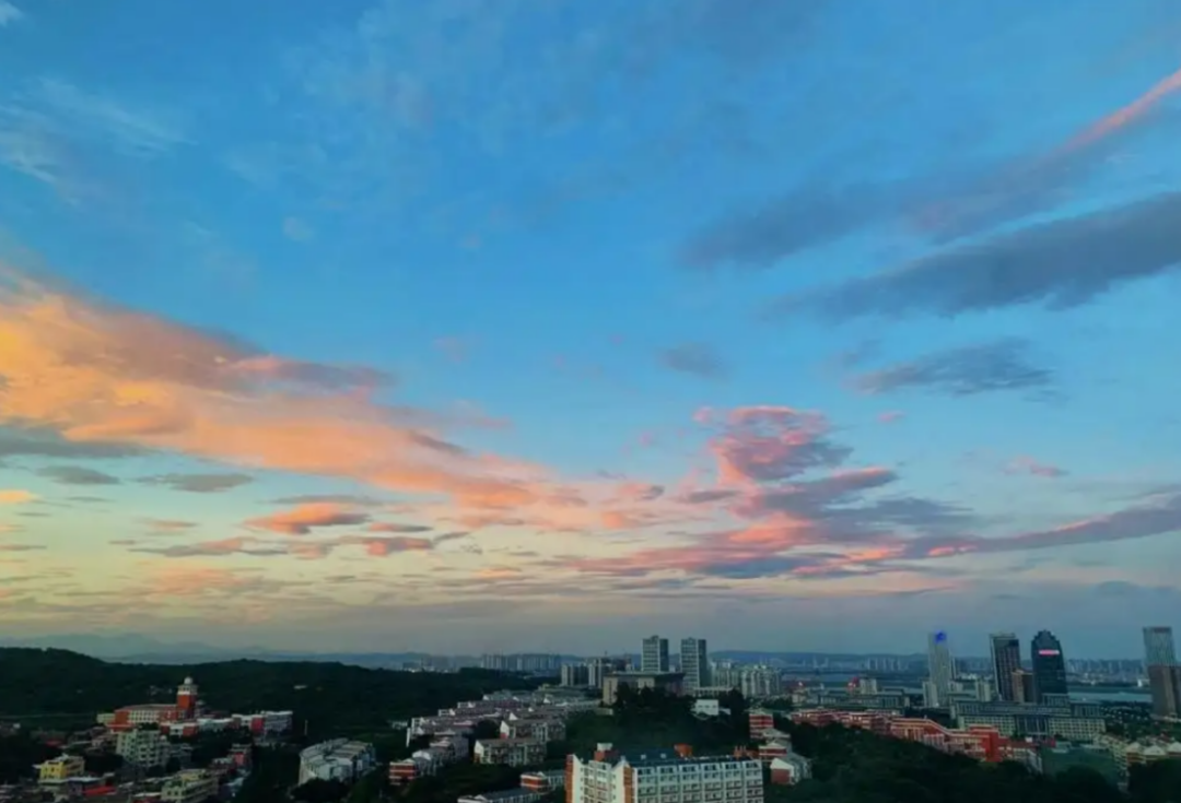 微信图片_20220615103044.png
